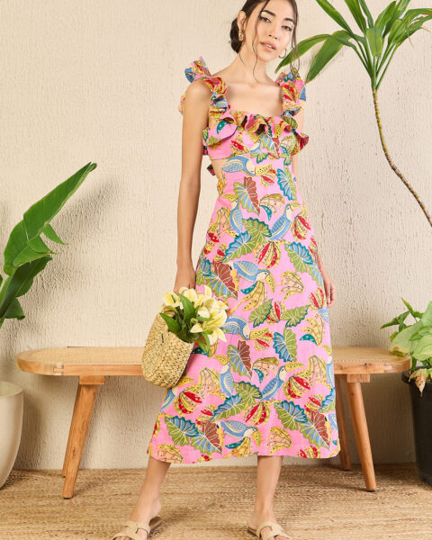 Printed Frilled Scoop Neck Dress