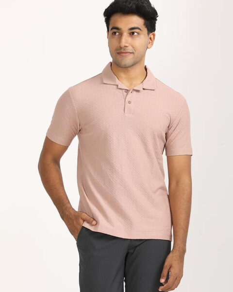 Men Solid Polo T Shirt